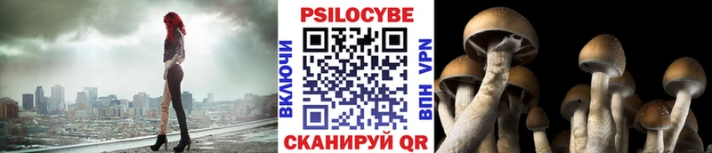 Псилоцибиновые грибы Cubensis купить наркотики сайты OMG Чапаевск