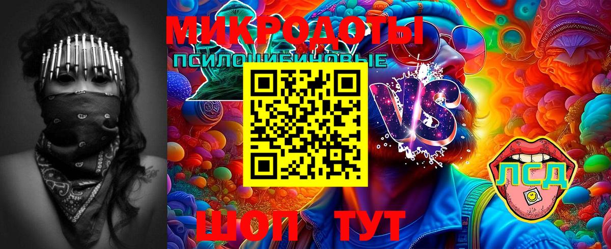 Псилоцибиновые грибы GOLDEN TEACHER Чапаевск