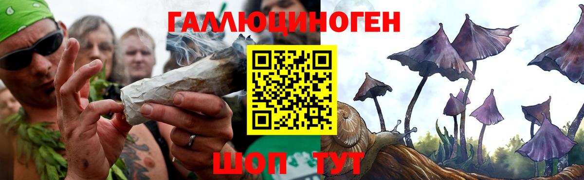 Чапаевск  Псилоцибиновые грибы Magic Shrooms  Вход с VPN 
